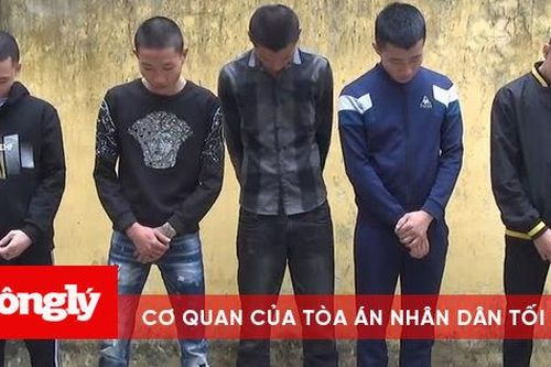 Nhóm thanh niên tổ chức 'tiệc ma túy' giữa cánh đồng