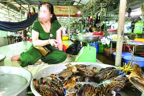 Đường đi của 'đặc sản' chim trời