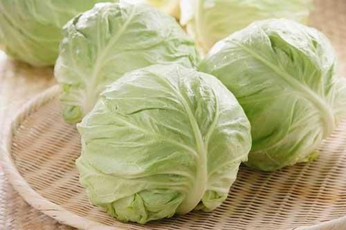 Những lưu ý khi ăn bắp cải tránh nguy hại sức khỏe