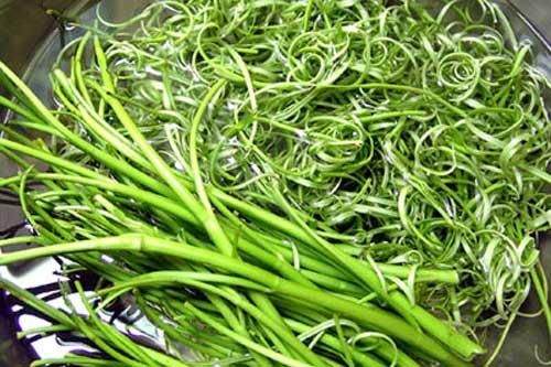 3 điều lưu ý khi ăn rau muống