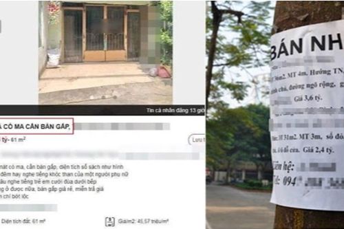 Rao bán nhà với màn mô tả gắn đầy 'yếu tố tâm linh', anh chủ thật thà khiến CĐM hào hứng bàn luận