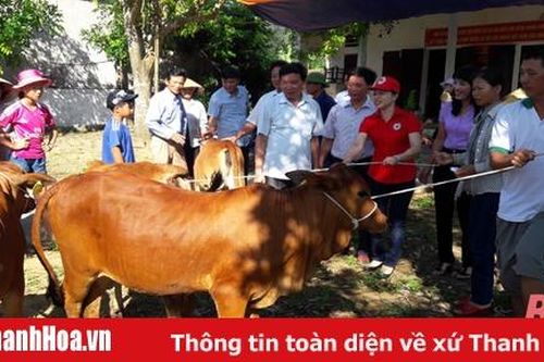 Hiệu quả các mô hình sinh kế cho hộ nghèo có hoàn cảnh khó khăn ở Quảng Xương