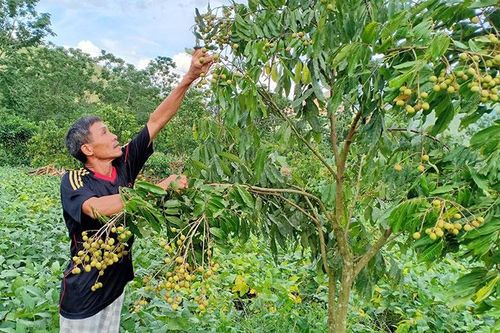 Nâng cao chất lượng hoạt động Hội Cựu chiến binh