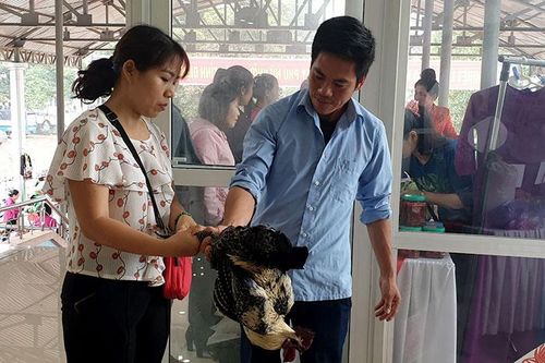 Xung kích trên mặt trận phát triển kinh tế