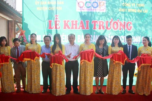 Chư Pưh khai trương điểm giới thiệu, bán sản phẩm OCOP