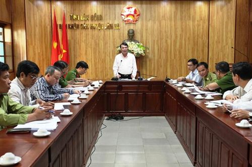 Lâm Hà: Quyết liệt xử lý các vụ vi phạm Luật Lâm nghiệp nổi cộm