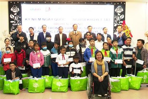 Hội Người khuyết tật, Nạn nhân da cam, Bảo trợ người khuyết tật và Bảo vệ quyền trẻ em tổng kết hoạt động năm 2020