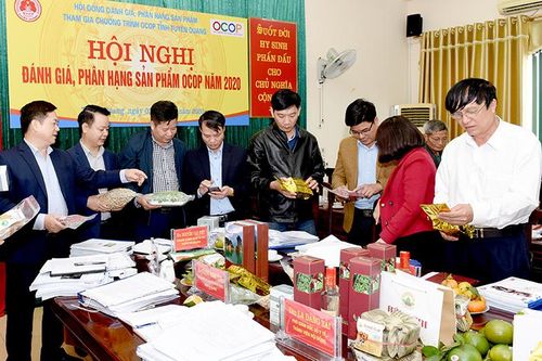 Đánh giá, phân hạng 53 sản phẩm OCOP