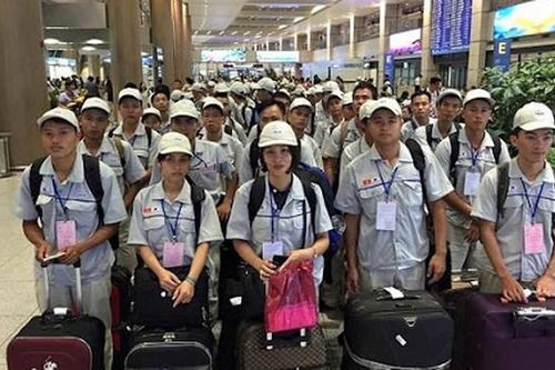 Đề nghị công an điều tra, xử lý doanh nghiệp xuất khẩu lao động vi phạm