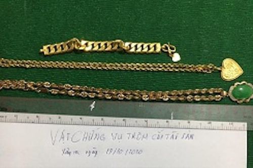Bắt nghi phạm trộm vàng khi thăm người thân