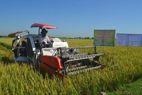 Tiếp sức cho kinh tế tập thể