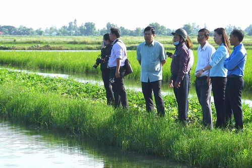 Thới Bình 'đi chắc' nhưng phải nhanh hơn