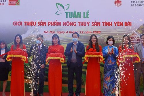 Quảng bá hàng nông sản Yên Bái tại Thủ đô Hà Nội