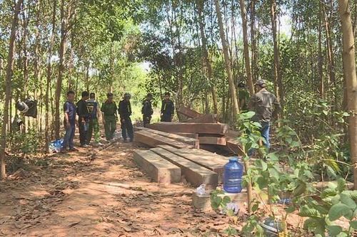 Đắk Lắk: Bắt thêm cựu lãnh đạo công ty lâm nghiệp Ea Kar để mất rừng