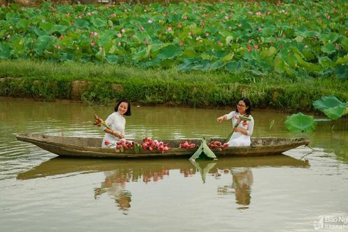Các chuyên gia hiến kế phát triển du lịch canh nông huyện Nam Đàn