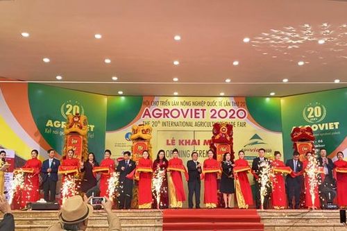 Khai mạc Hội chợ Triển lãm Nông nghiệp Quốc tế AgroViet 2020