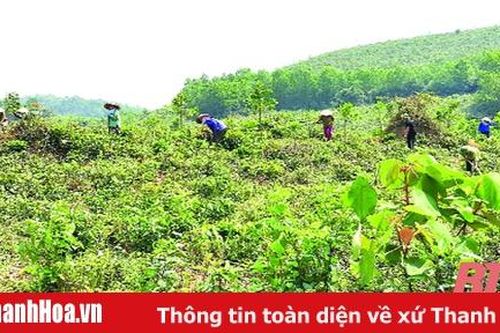 Phục hồi và quản lý bền vững rừng phòng hộ tỉnh Thanh Hóa