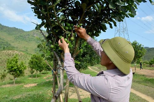 Xây dựng chương trình, kế hoạch thực hiện nghị quyết phù hợp thực tiễn