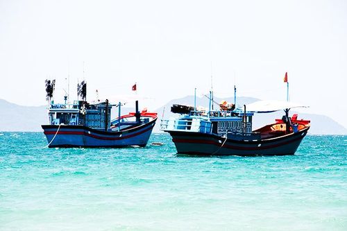 Phổ biến kết quả làm việc với đoàn thanh tra EC về khai thác IUU
