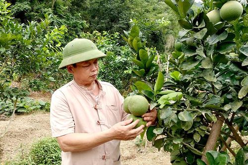 Người uy tín tiêu biểu