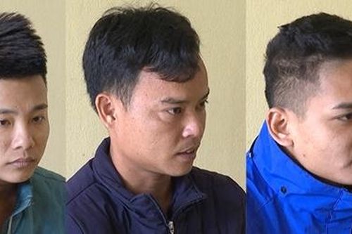 Lừa đảo bán lan đột biến HO