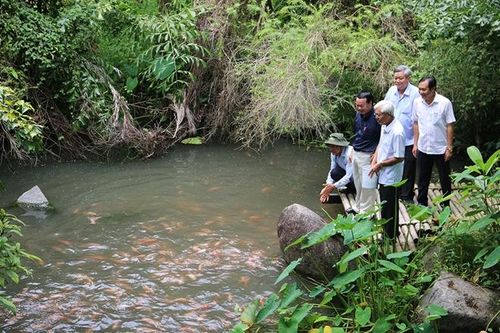 Bảo tàng địa chất miền sơn cước