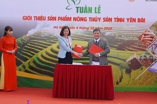 Khai mạc 'Tuần lễ giới thiệu hàng nông, thủy sản tỉnh Yên Bái tại Hà Nội'