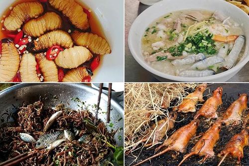 Những loại đặc sản 'nhìn thì ghê ăn thì mê' ở Việt Nam