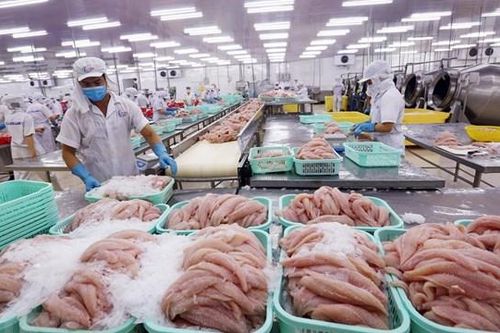Xuất khẩu cá tra gặp khó