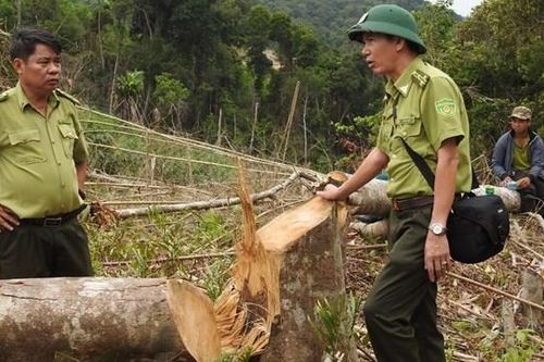Quảng Trị: Lâm tặc đập phá xe máy của nhân viên bảo vệ rừng