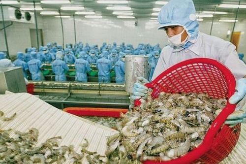 Dù cho Covid-19, xuất khẩu bứt tốc cùng EVFTA