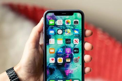 Apple sẽ thay màn hình miễn phí cho iPhone 11 bị lỗi cảm ứng