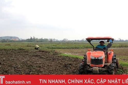 Nông dân Hà Tĩnh linh hoạt ứng phó với thời tiết, sáng tạo trong sản xuất