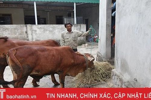 Địa phương nào có tỷ lệ hộ nghèo cao nhất Hà Tĩnh?