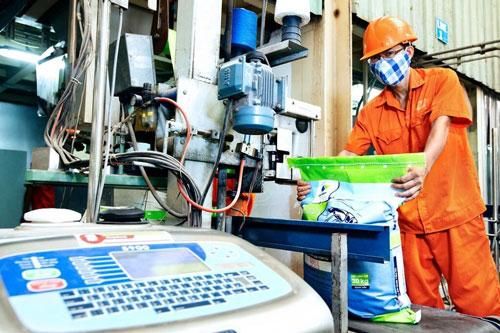 Thị trường thức ăn chăn nuôi Việt Nam dự kiến tăng trưởng kép 5,06%/năm