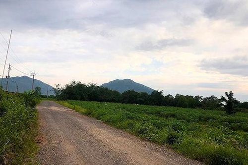 Bà Rịa - Vũng Tàu: Kiên quyết 'trảm' dự án 'treo'