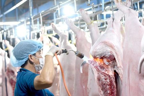 Thị trường thịt heo Tết 2021: Khó xảy ra khan hàng, sốt giá