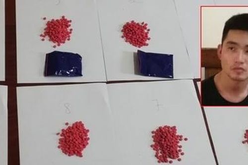 Chặt đứt đường dây mua bán ma túy từ Quế Phong về Diễn Châu