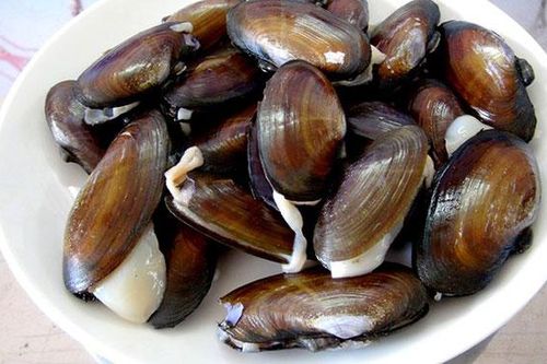 Đặc sản Thanh Hóa