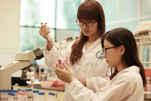 Nâng trách nhiệm, tăng chất lượng đào tạo văn bằng 2