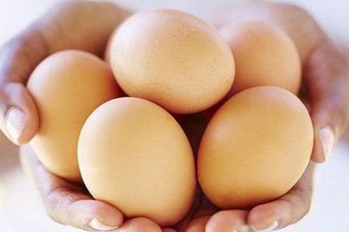 Thuốc và món ăn cho người tiểu ra máu