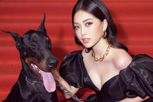 Phương Nga lên tiếng về việc dắt chó không rọ mõm tới thảm đỏ