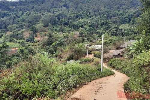 Cột chôn đầu bản, điện treo nơi nào?