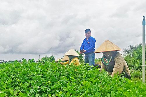 Trẻ trung và kiên trì 'Lương Định Của' thế hệ 4.0