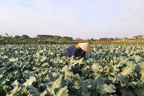 'Chắp cánh' cho thương hiệu truyền thống