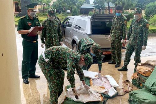 Thu giữ 200kg nguyên liệu thuốc bắc và 100kg nầm lợn trong đêm