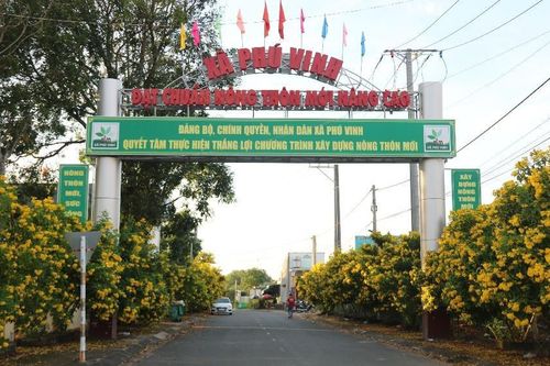 Ngắm hoa Chuông Vàng rực rỡ 'dát vàng' nông thôn mới ở Đồng Nai