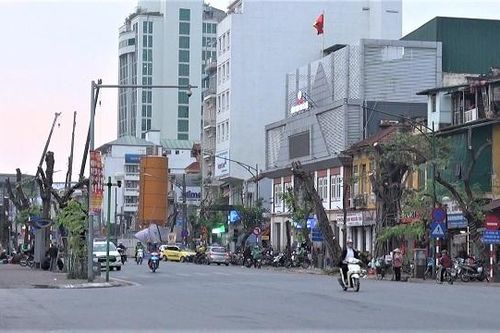 Hà Nội: Chặt hạ, đánh chuyển 40 cây xanh phục vụ thi công ga S12