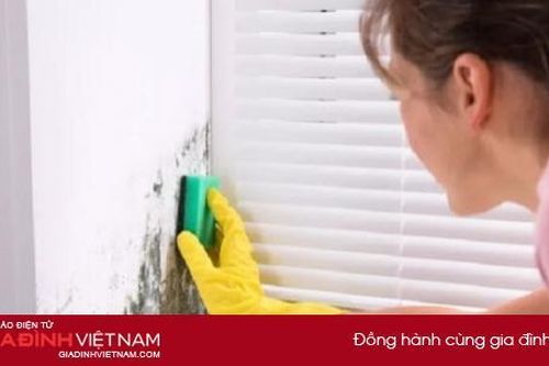 3 cách đơn giản loại bỏ nấm mốc trong nhà