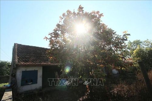 Từ ngày 7 - 9/12, chỉ số tia UV tại các thành phố Nam Bộ ở mức nguy cơ gây hại cao